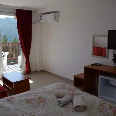 Apartment Vip - *